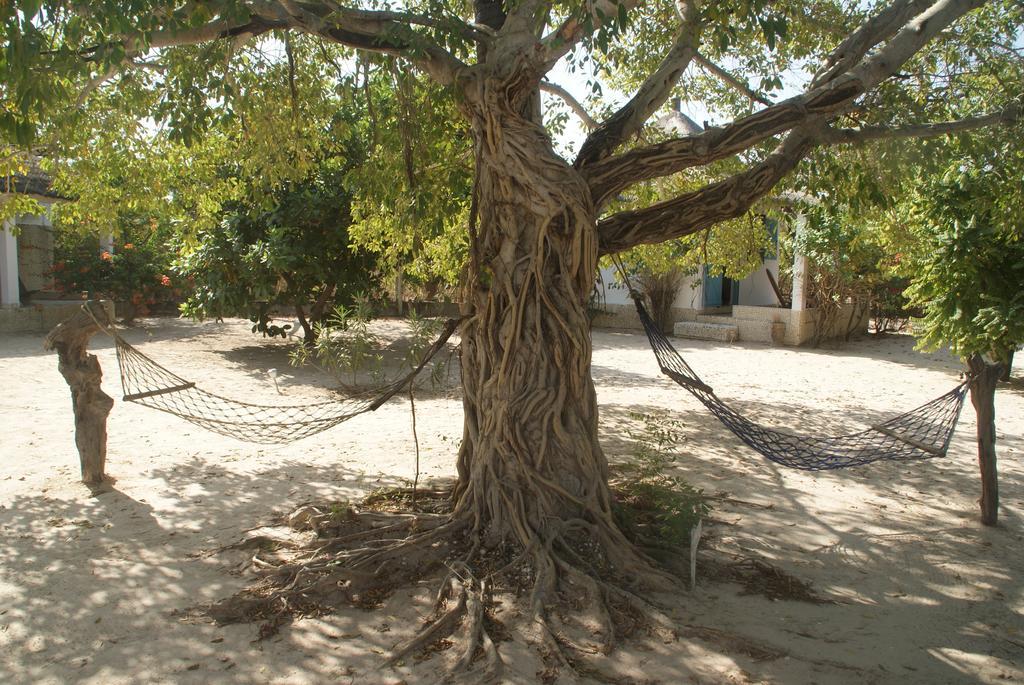 Bazouk Du Saloum Ecolodge Mar Lodj Zimmer foto