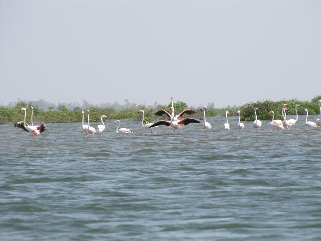 Bazouk Du Saloum Ecolodge Mar Lodj Exterior foto